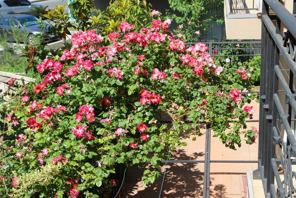 Flowers Apartments Nessebar Extérieur photo